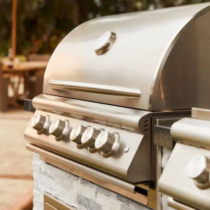 Blaze Premium LTE+ 32-Inch 4-Burner Built-In Natural Gas Grill