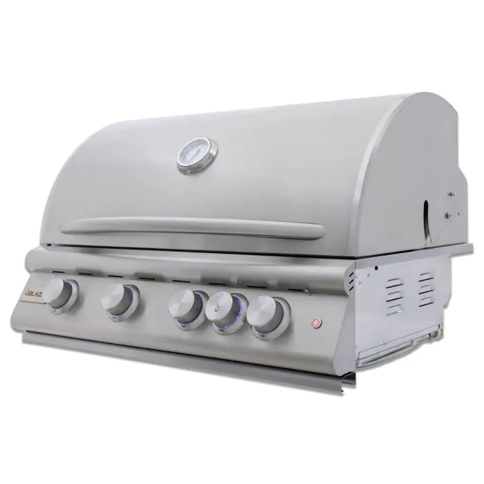 Blaze Premium LTE+ 32-Inch 4-Burner Built-In Natural Gas Grill